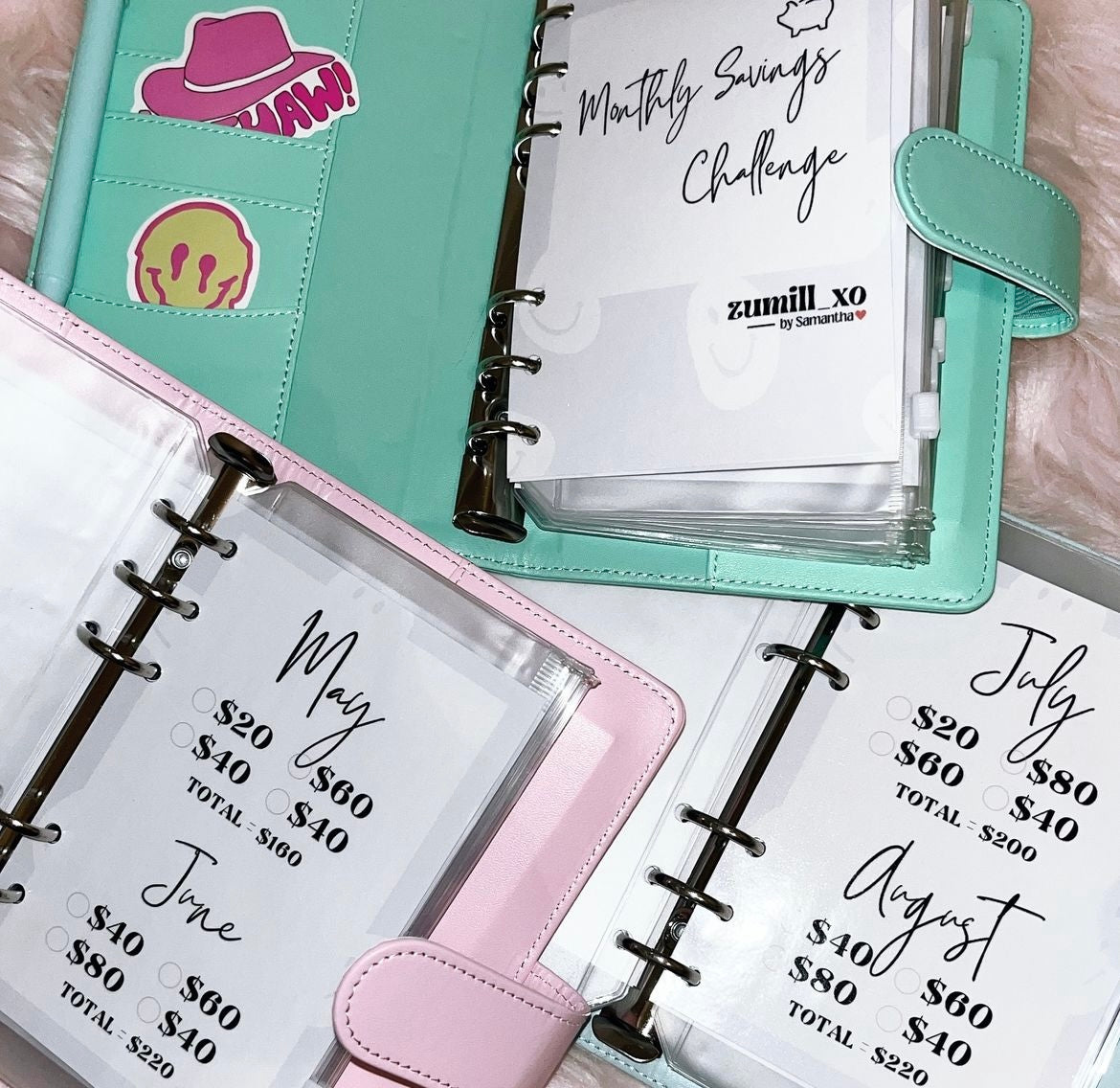 Monthly Savings Binder