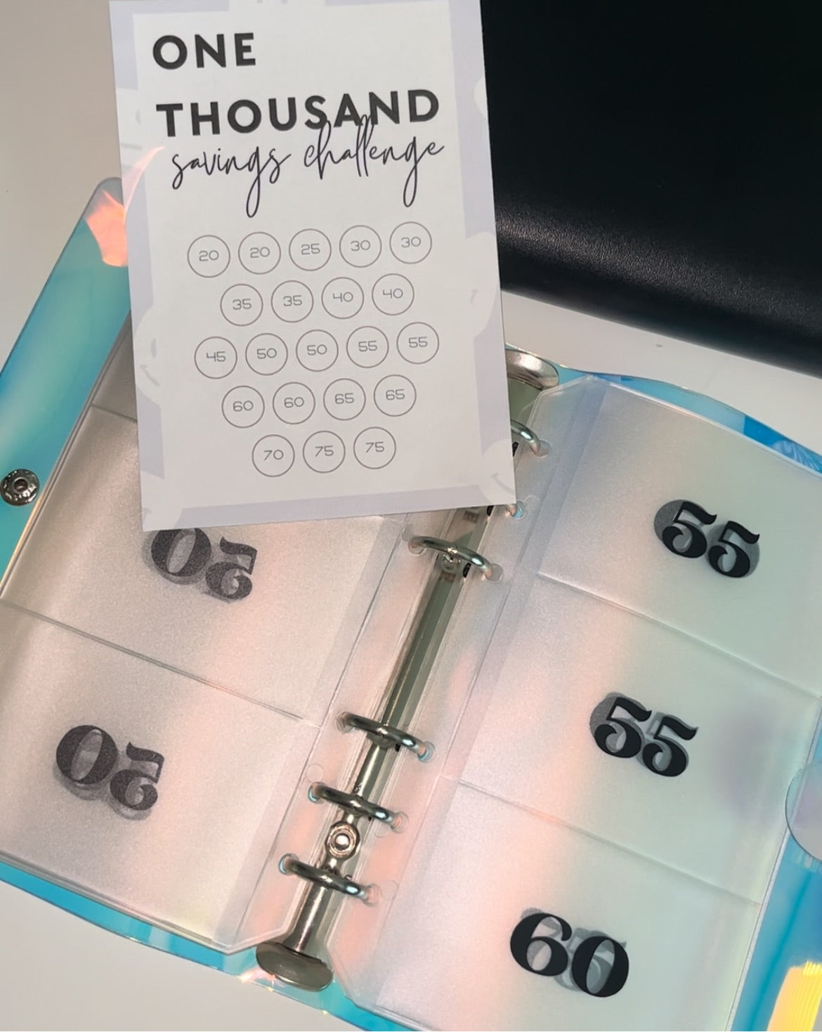 $1000 Savings Binder