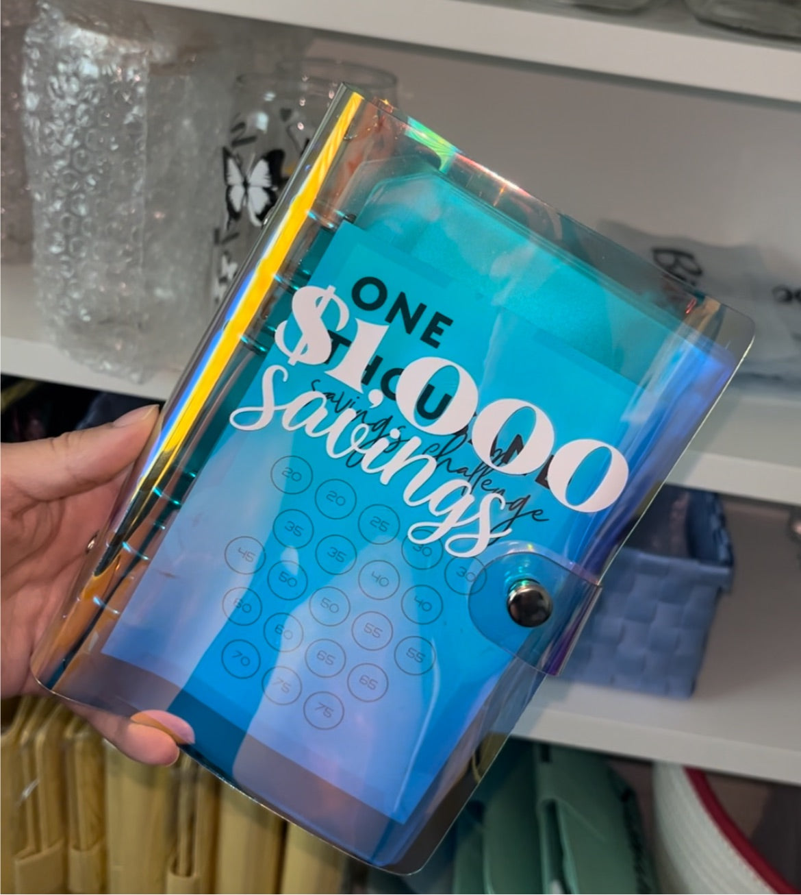 $1000 Savings Binder