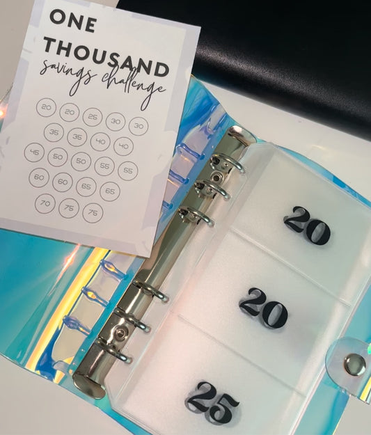 $1000 Savings Binder